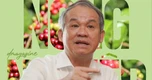 Giá nông sản hôm nay 19/9: Sầu riêng giảm, vườn cà phê của Bầu Đức mở rộng