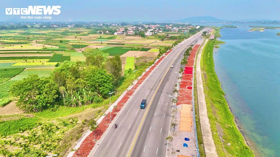 Giá ớt rớt thê thảm, nông dân điêu đứng Giá ớt rớt thê thảm, nông dân điêu đứng