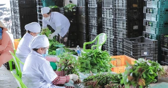 Giá rau xanh ở TPHCM tăng cao: 'Chúng tôi gần như không có rau để bán'