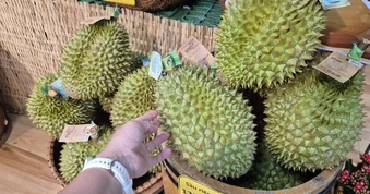 Giá sầu riêng chạm đáy tại vườn nhưng giá bán lẻ vẫn cao bất ngờ