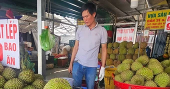 Giá sầu riêng Ri6 giảm mạnh, do đụng hàng Thái Lan hay vì khách mua Trung Quốc?