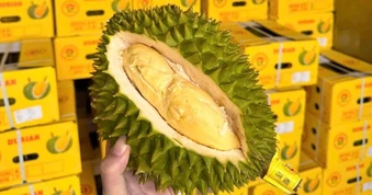 Giá sầu riêng Việt Nam ở Trung Quốc giảm, Monthong còn 98.000 đồng/kg