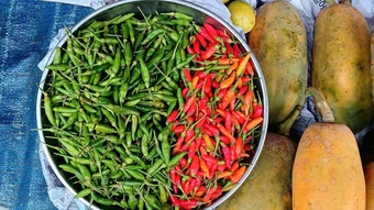 Giá tăng mạnh, ớt hiểm xanh đắt hơn thịt gà