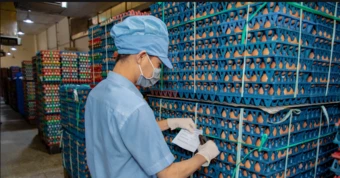 Giá trứng gà thoát đáy; sầu riêng ngày càng rẻ