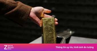 Giá vàng tăng trở lại, 'cá mập' tranh thủ gom hơn 8 tấn vàng