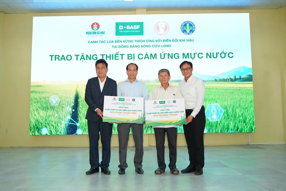 Giá “vàng trắng” tăng mạnh, nông dân phấn khởi