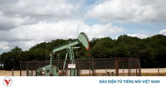 Giá xăng dầu hôm nay 21/4: Giá dầu tăng lên 95,89 USD/thùng