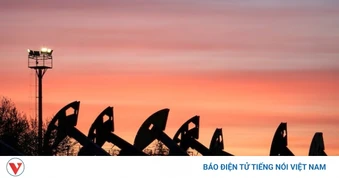 Giá xăng dầu hôm nay 23/8: Giá dầu tăng sau tuyên bố của Tổng thống Mỹ