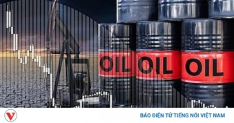 Giá xăng dầu hôm nay 29/7: Giá dầu chạm mức thấp nhất trong hơn một tuần