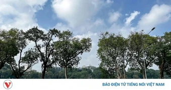 Giá xăng dầu tăng cao: Cơ hội cho xe đạp, xe điện?