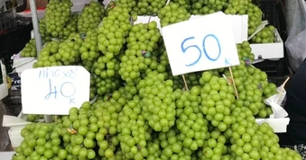 Giật mình giá nho 'quý tộc'