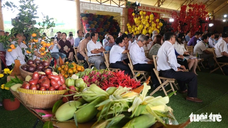 Giữa ruộng hoa bàn chuyện người 'nông dân chuyên nghiệp' Giữa ruộng hoa bàn chuyện người 'nông dân chuyên nghiệp'
