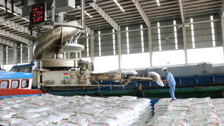 Hai 'ông lớn' Việt Nam đang nắm giữ át chủ bài giữa cảnh Hormuz gây đứt gãy chuỗi cung ứng phân bón toàn cầu Hai 'ông lớn' Việt Nam đang nắm giữ át chủ bài giữa cảnh Hormuz gây đứt gãy chuỗi cung ứng phân bón toàn cầu