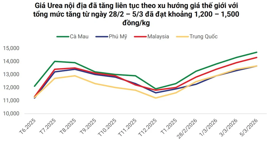 Hai 'ông lớn' Việt Nam đang nắm giữ át chủ bài giữa cảnh Hormuz gây đứt gãy chuỗi cung ứng phân bón toàn cầu Hai 'ông lớn' Việt Nam đang nắm giữ át chủ bài giữa cảnh Hormuz gây đứt gãy chuỗi cung ứng phân bón toàn cầu