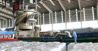 Hai 'ông lớn' Việt Nam đang nắm giữ át chủ bài giữa cảnh Hormuz gây đứt gãy chuỗi cung ứng phân bón toàn cầu
