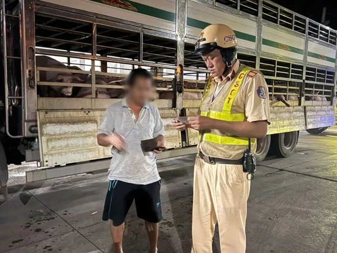 Hàng trăm con heo nghi 'dính' chất cấm Salbutamol Hàng trăm con heo nghi 'dính' chất cấm Salbutamol