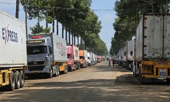 Hàng trăm container sầu riêng ùn ứ ở Đồng Nai do quá tải kiểm nghiệm