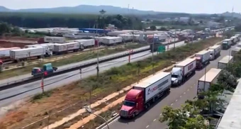 Hàng trăm xe container chở sầu riêng ùn ứ ở Dầu Giây, xếp hàng chờ kiểm định