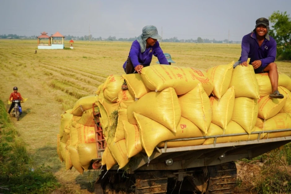 Hành trình từ bán gạo đến tham gia chuỗi cung ứng ASEAN Hành trình từ bán gạo đến tham gia chuỗi cung ứng ASEAN