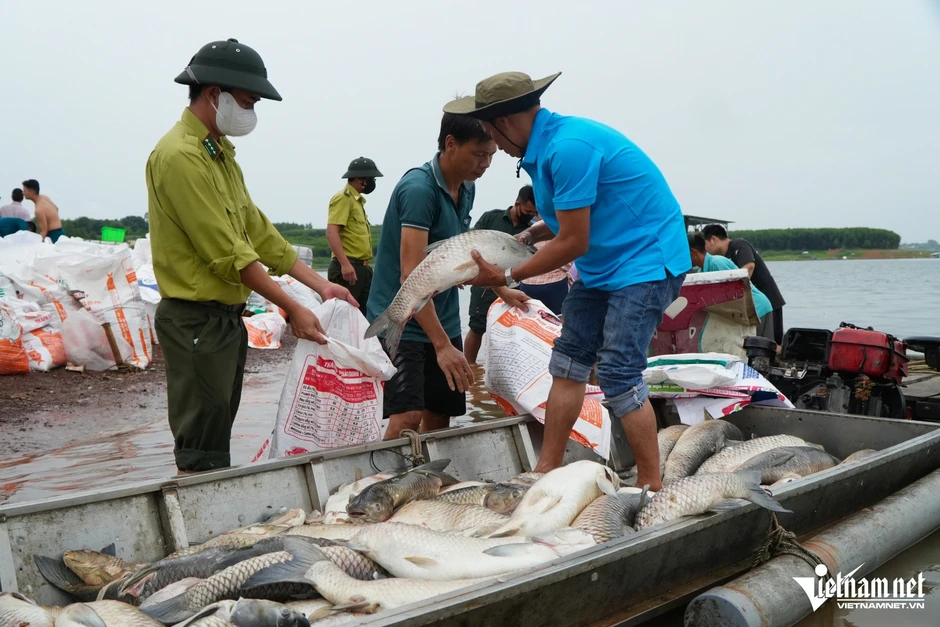 Hé lộ nguyên nhân ban đầu khiến hơn 200 tấn cá chết trắng hồ Trị An