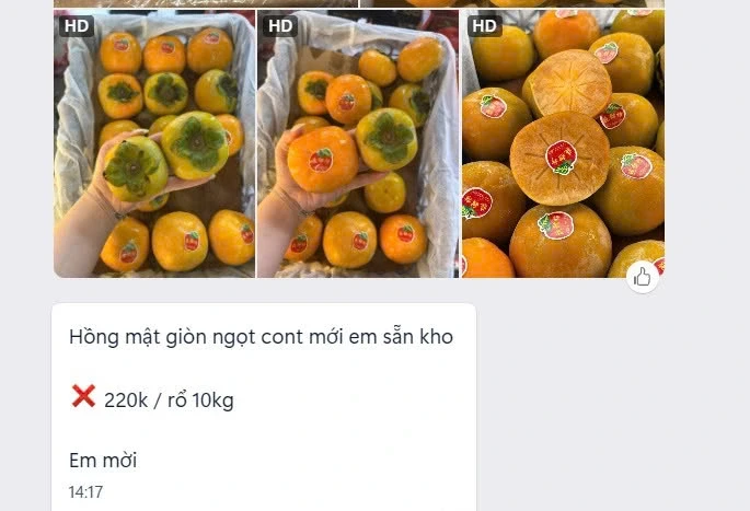 Hồng mật Trung Quốc giá từ vài trăm nghìn nay có nơi bán còn 10.000 đồng/kg Hồng mật Trung Quốc giá từ vài trăm nghìn nay có nơi bán còn 10.000 đồng/kg