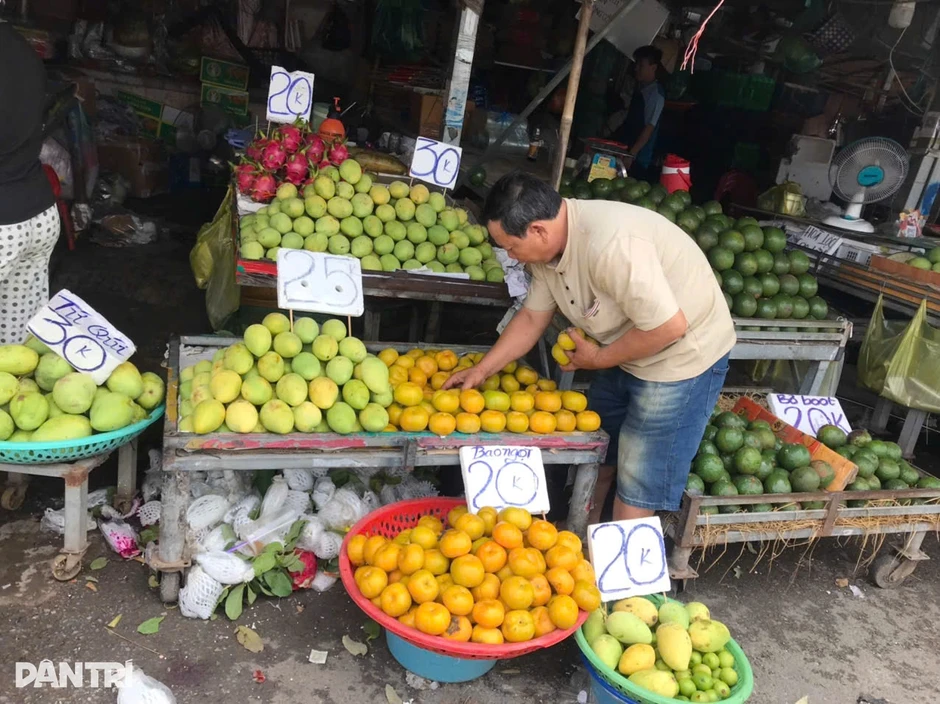 Hồng mật Trung Quốc giá từ vài trăm nghìn nay có nơi bán còn 10.000 đồng/kg Hồng mật Trung Quốc giá từ vài trăm nghìn nay có nơi bán còn 10.000 đồng/kg