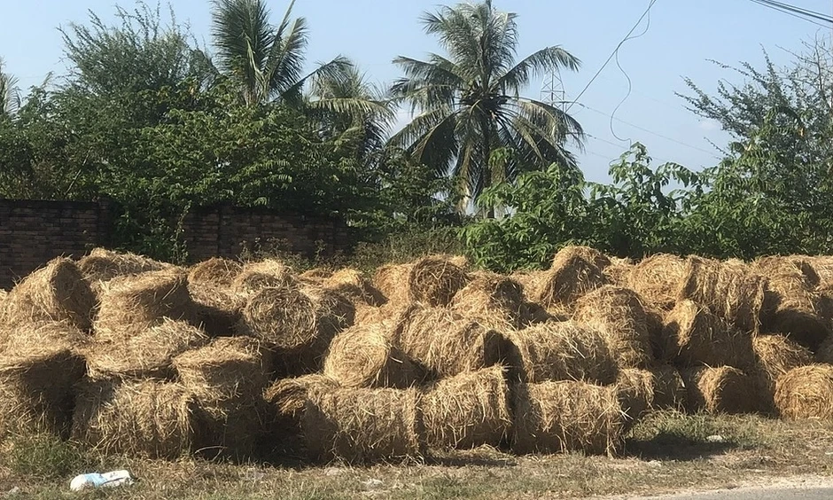 Khi rơm rạ và CO₂ đều có thể bán được - Báo TinVina Khi rơm rạ và CO₂ đều có thể bán được - Báo TinVina