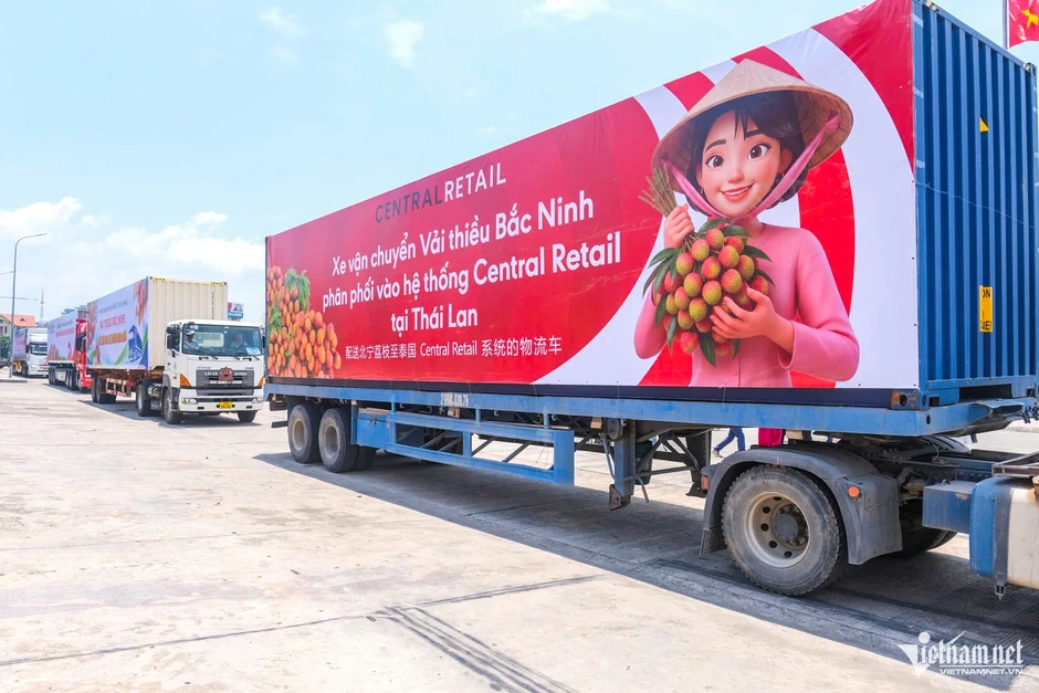 Không chỉ bán theo mùa, Bắc Ninh muốn nâng tầm vải thiều thành nông sản cao cấp Không chỉ bán theo mùa, Bắc Ninh muốn nâng tầm vải thiều thành nông sản cao cấp