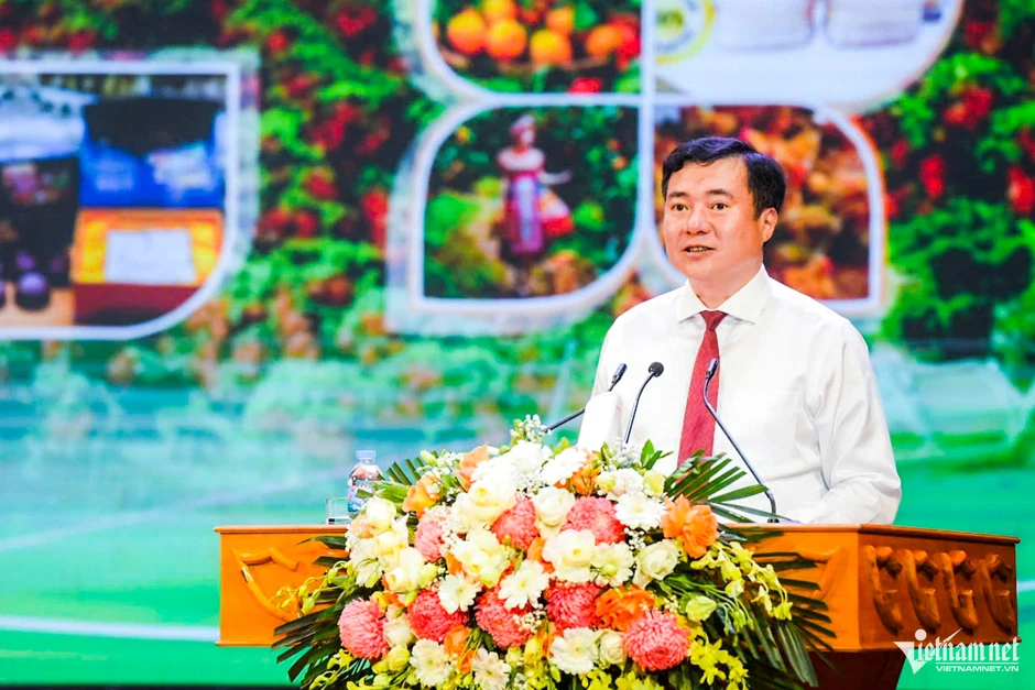 Không chỉ bán theo mùa, Bắc Ninh muốn nâng tầm vải thiều thành nông sản cao cấp Không chỉ bán theo mùa, Bắc Ninh muốn nâng tầm vải thiều thành nông sản cao cấp