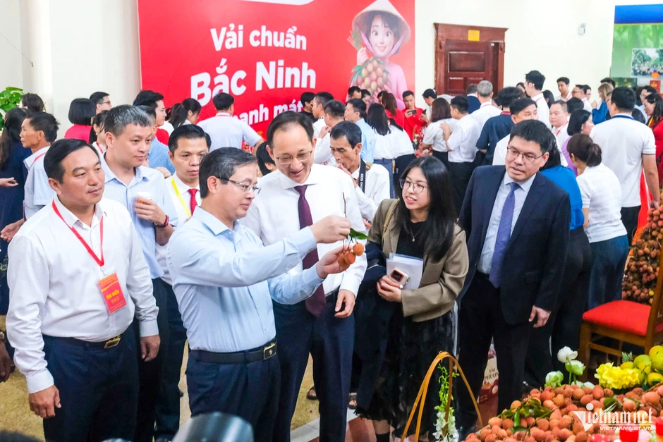 Không chỉ bán theo mùa, Bắc Ninh muốn nâng tầm vải thiều thành nông sản cao cấp Không chỉ bán theo mùa, Bắc Ninh muốn nâng tầm vải thiều thành nông sản cao cấp