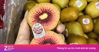 Kiwi ruột đỏ New Zealand hơn 300.000 đồng/kg vẫn hút khách mua