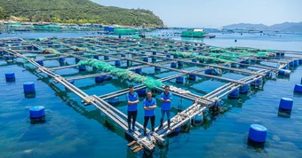 KLC Group - 9 năm kiến tạo, định hình hệ sinh thái đa ngành