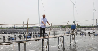 Lão nông miền Tây liều chuyển đất lúa phèn sang nuôi tôm, mỗi năm kiếm tiền tỷ