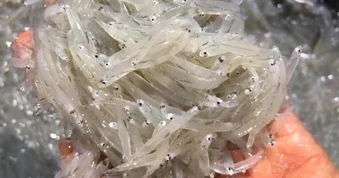 Loại cá nhỏ xíu nhiều dưỡng chất, bán giá "mềm" ở chợ
