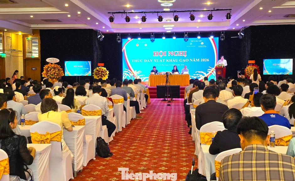 Lúa gạo rớt giá: Đừng 'đổ thừa' do chiến sự Trung Đông! Lúa gạo rớt giá: Đừng 'đổ thừa' do chiến sự Trung Đông!