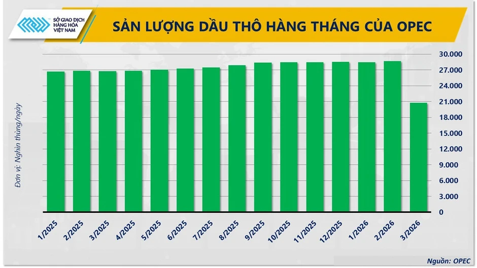 Lực mua áp đảo, MXV-Index bật tăng lên 2.957 điểm Lực mua áp đảo, MXV-Index bật tăng lên 2.957 điểm