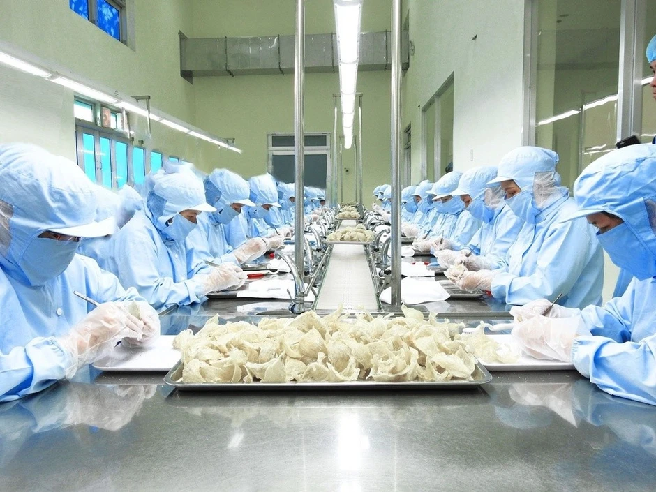 Lưu ý với nông sản Việt xuất Trung Quốc từ ngày 1/6 Lưu ý với nông sản Việt xuất Trung Quốc từ ngày 1/6