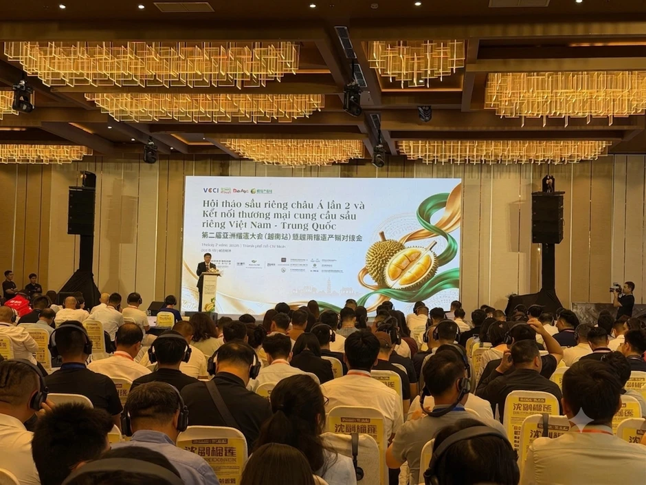 Lý do sầu riêng càng ngày càng rẻ Lý do sầu riêng càng ngày càng rẻ