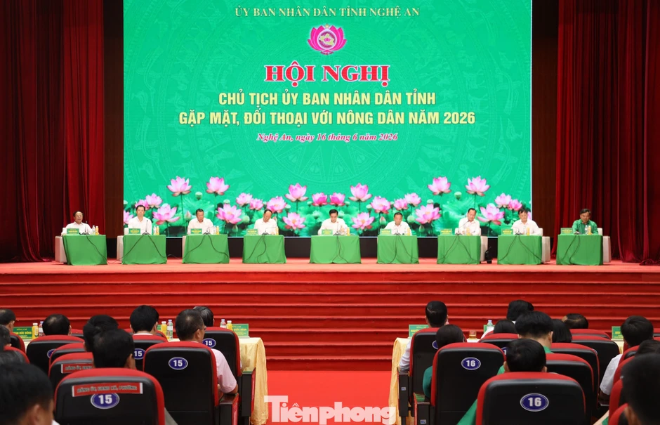 Lý do thương hiệu cam Vinh xuống dốc Lý do thương hiệu cam Vinh xuống dốc
