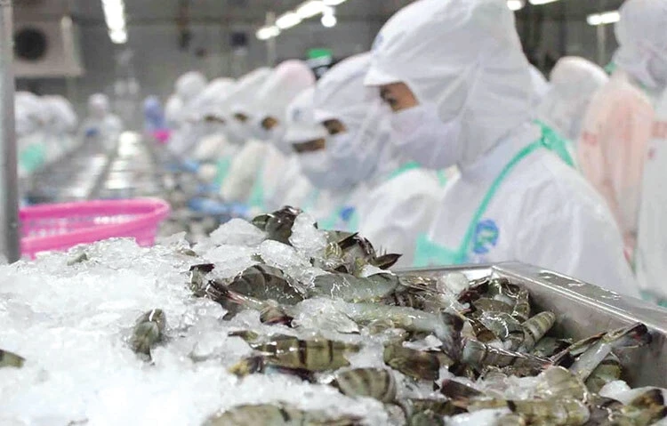 Mỹ công bố mức thuế sơ bộ với tôm Việt Nam Mỹ công bố mức thuế sơ bộ với tôm Việt Nam