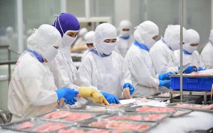 Mỹ giảm nhập thủy sản Việt Nam, Trung Quốc tăng mua 50% tôm hùm, cá tra, cua