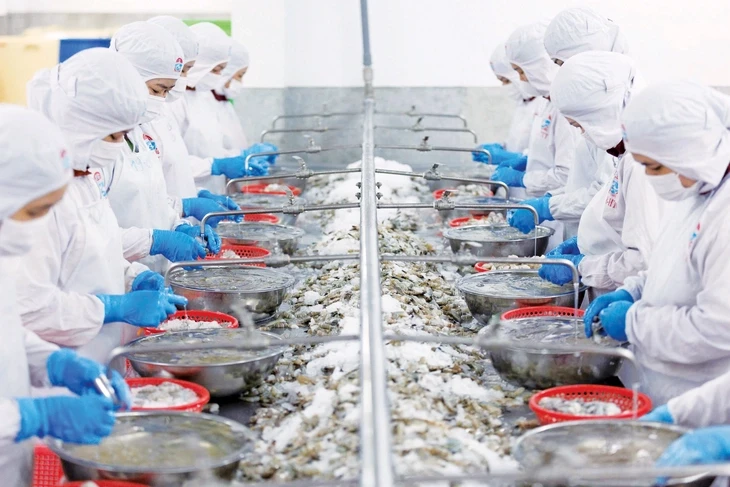 Mỹ giảm nhập thủy sản Việt Nam, Trung Quốc tăng mua 50% tôm hùm, cá tra, cua