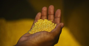 Mỗi năm 30-35 tỷ USD vàng ‘bốc hơi’ khỏi châu Phi, phần lớn chảy về quốc gia này