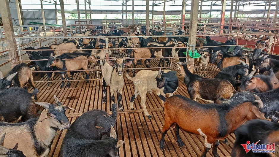 Món nhắc đến là nghĩ ngay tới Ninh Bình: Từ bị ép giá đến các ông bà chủ thu bạc tỷ