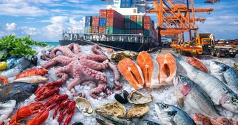 Một ngành hàng mang về hơn 9 tỷ USD cho Việt Nam sau 9 tháng, riêng Trung Quốc mua tới 1/4