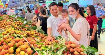 Một siêu thị "chốt đơn" vải thiều Bắc Ninh, muốn tăng gấp đôi sản lượng tiêu thụ