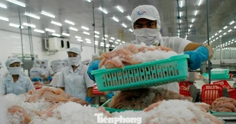 Một số doanh nghiệp thủy sản tạm dừng xuất khẩu Trung Đông