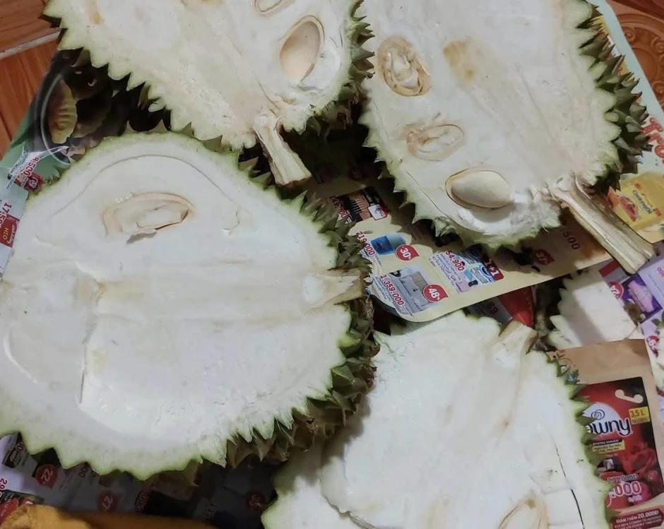 Mua sầu riêng non 'giải cứu' ven đường, người tiêu dùng lãnh đủ Mua sầu riêng non 'giải cứu' ven đường, người tiêu dùng lãnh đủ