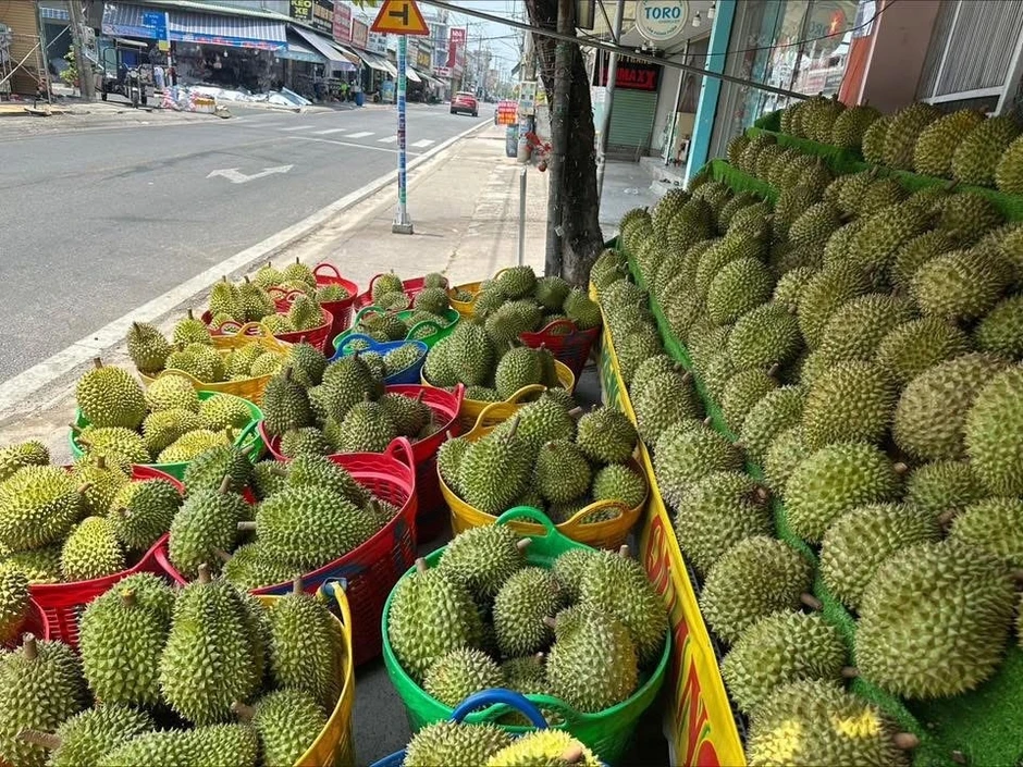 Mua sầu riêng non 'giải cứu' ven đường, người tiêu dùng lãnh đủ Mua sầu riêng non 'giải cứu' ven đường, người tiêu dùng lãnh đủ