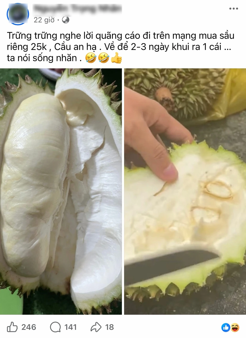 Mua sầu riêng non 'giải cứu' ven đường, người tiêu dùng lãnh đủ Mua sầu riêng non 'giải cứu' ven đường, người tiêu dùng lãnh đủ